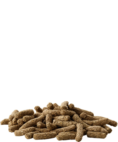 VERSELE LAGA COMPLETE ŚWINKA MORSKA 500G VERSELE LAGA COMPLETE ŚWINKA MORSKA 500G