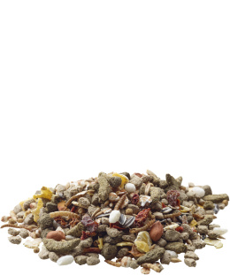 VERSELE LAGA NATURE SZCZUR 700G
