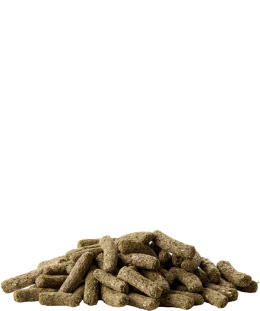 VERSELE LAGA COMPLETE SZYNSZYL I KOSZATNICZKA 500G