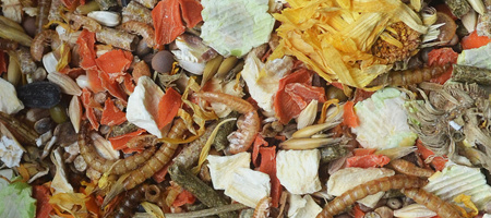 KORONA NATURY KARMA DLA CHOMIKA 750G KORONA NATURY KARMA DLA CHOMIKA 750G