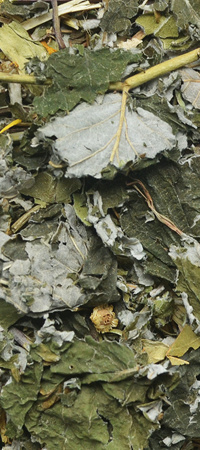 KORONA NATURY ZIOŁA DLA ŚWINKI MORSKIEJ 70G KORONA NATURY ZIOŁA DLA ŚWINKI MORSKIEJ 70G